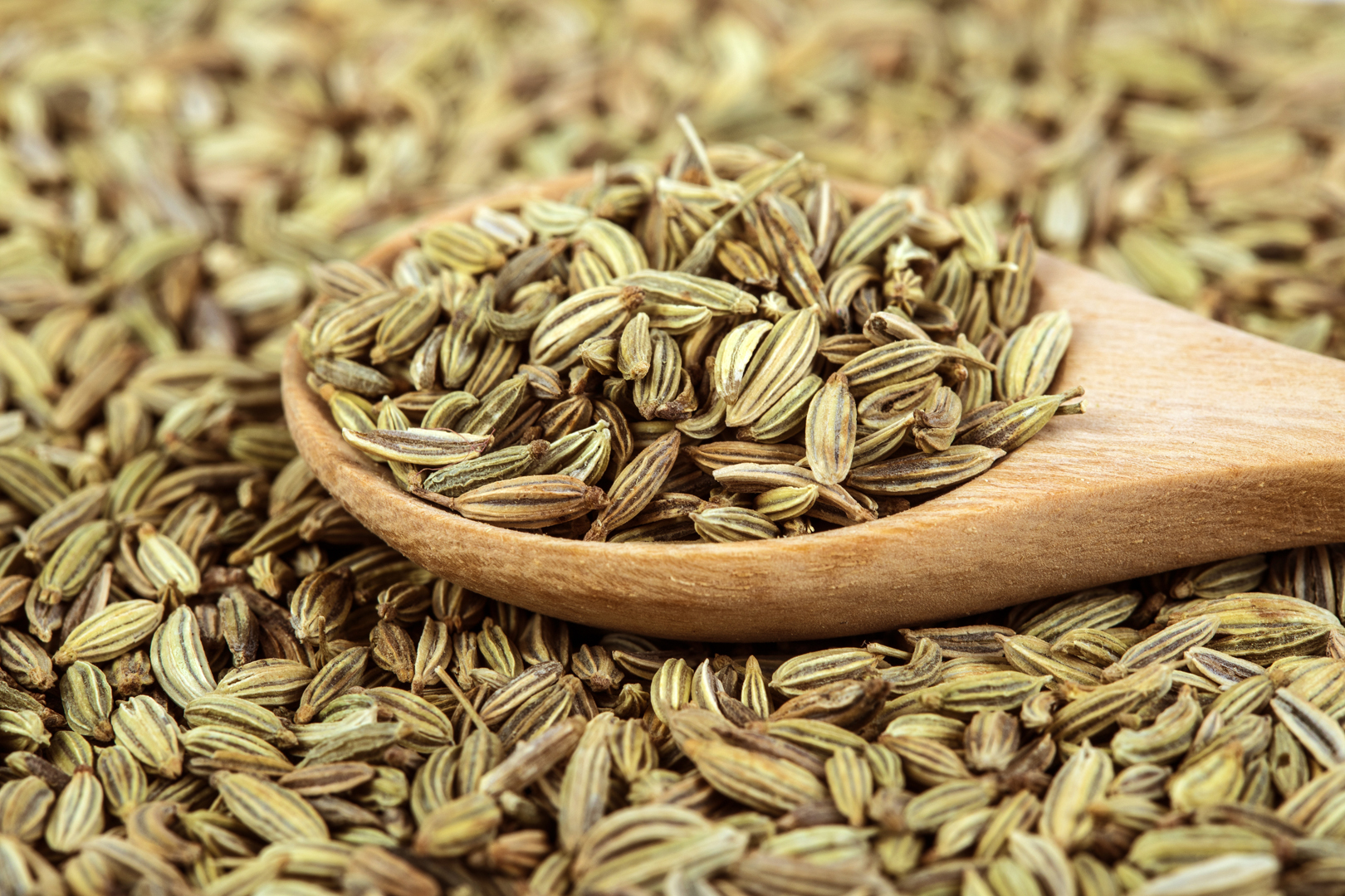 Fennel Seed Oleoresin