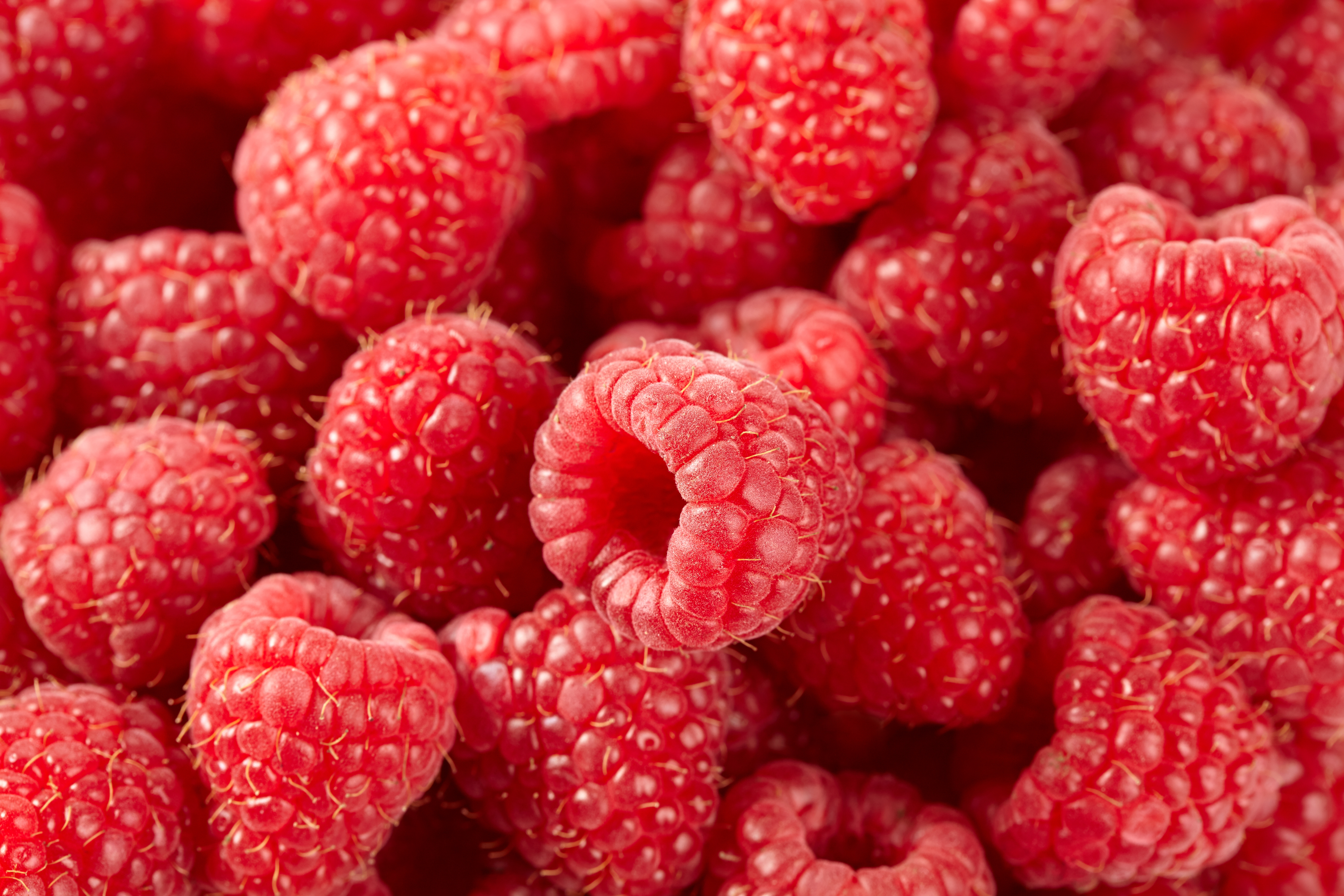 Raspberry