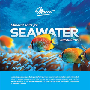 Macco Aquatic grade