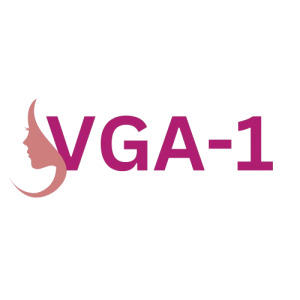 VGA -1