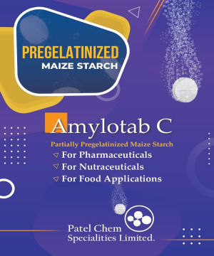AmyloTab ™ - Pregelatinized Starch