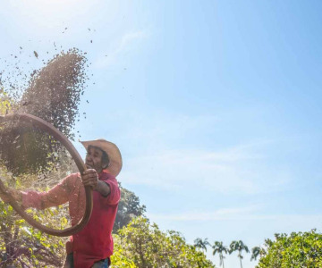 Study, diagnosis, and improvement of the natural ingredients production chain, encompassing the prospecting of farmers and large-scale production to crop planning with technical assistance and full traceability assurance.