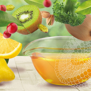 LIPOID Liposome Basic H