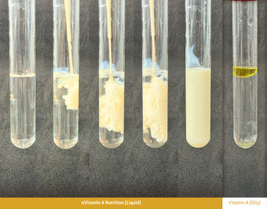 nVitamin A Nutrition