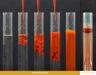 nASTAXANTHIN Nutrition