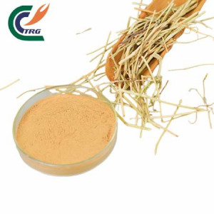 Tribulus Terrestris P.E.