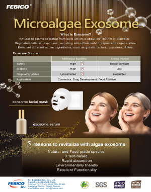 Microalgae Exosome Serum