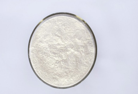 Acid Lactase （Liquid form and Powder form)
