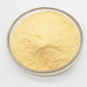 Lecithin DHA Powder