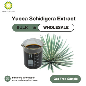 Yucca Schidigera Extract