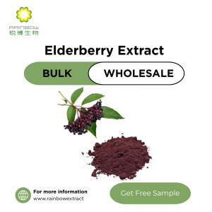 Elderberry Fruit Extract