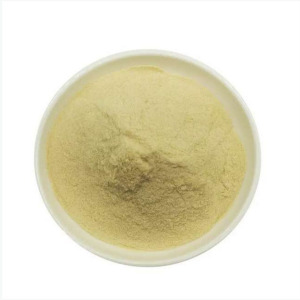 PYRIDOXAL-5-PHOSPHATE