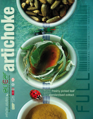 Artichoke extract - European specialist. 100% traceability from seeds to extracts.