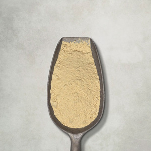 ExcelPro™ Plus PP 50