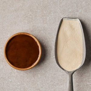 ProBase™ chicken stocks