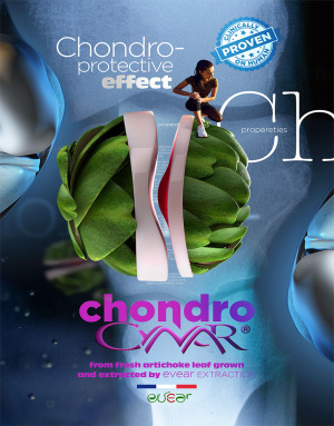 chondroCYNAR