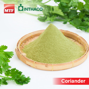 Coriander Extract Powder