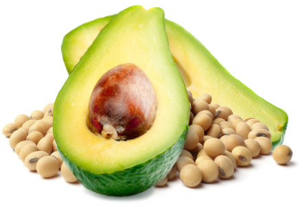 AvoVida® - Avocado-soy Unsaponifiables