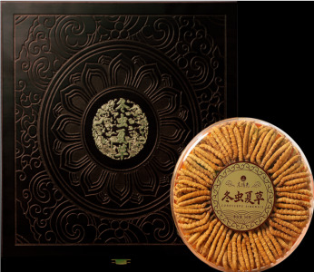 Freeze-dried Cordyceps Sinensis