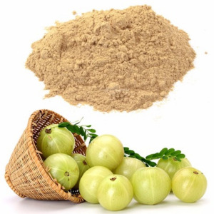 Amla Extract Powder