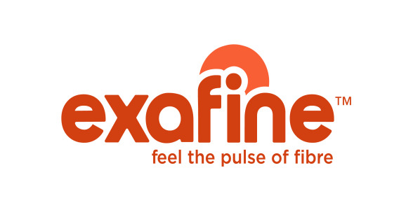 EXAFINE™ pea hull fibre