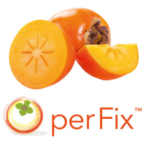 perFix™ - Persimmon fruit extract