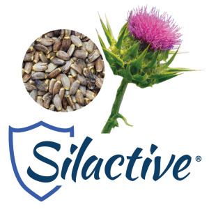 Silactive® - Milk thistle seed extract
