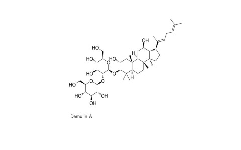 Actiponin™(Gynostemma pentophyllum extract)