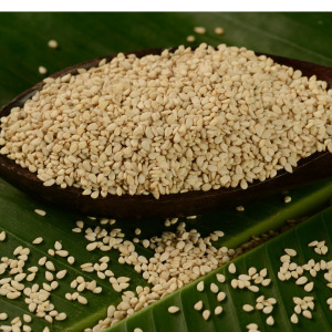 Natural Sesame Seeds