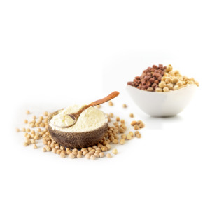 ChanaTein™ - Chickpea Protein Concentrate