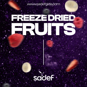 FREEZE DRIED FRUITS