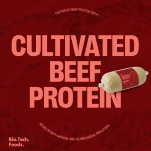 Cultivated Beef Meat