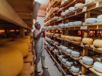 VIN’CURD – Processing aid for yield enhancement in cheese production