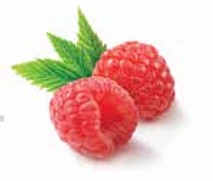 Freeze dried Raspberry