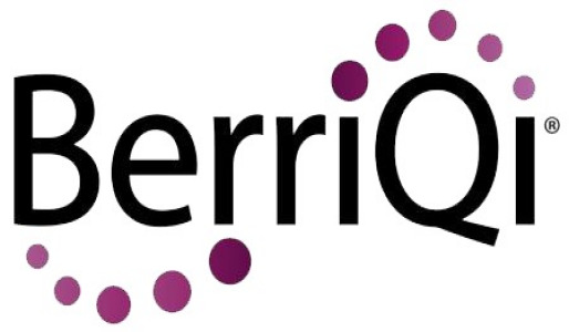 BerriQi
