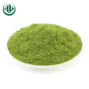 Matcha Powder