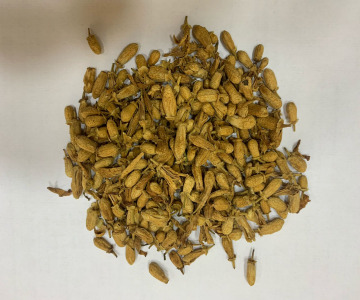 FLEUR D'ORANGER AMÈRE