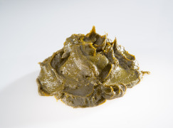 Graminex® NAX™ 7% Paste Flower Pollen Extract™