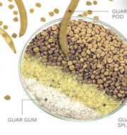 Guar Gum Powder