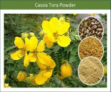 Cassia Gum