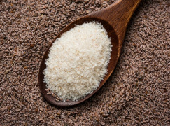 Psyllium Powder