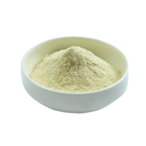 Alpha Lipoic Acid