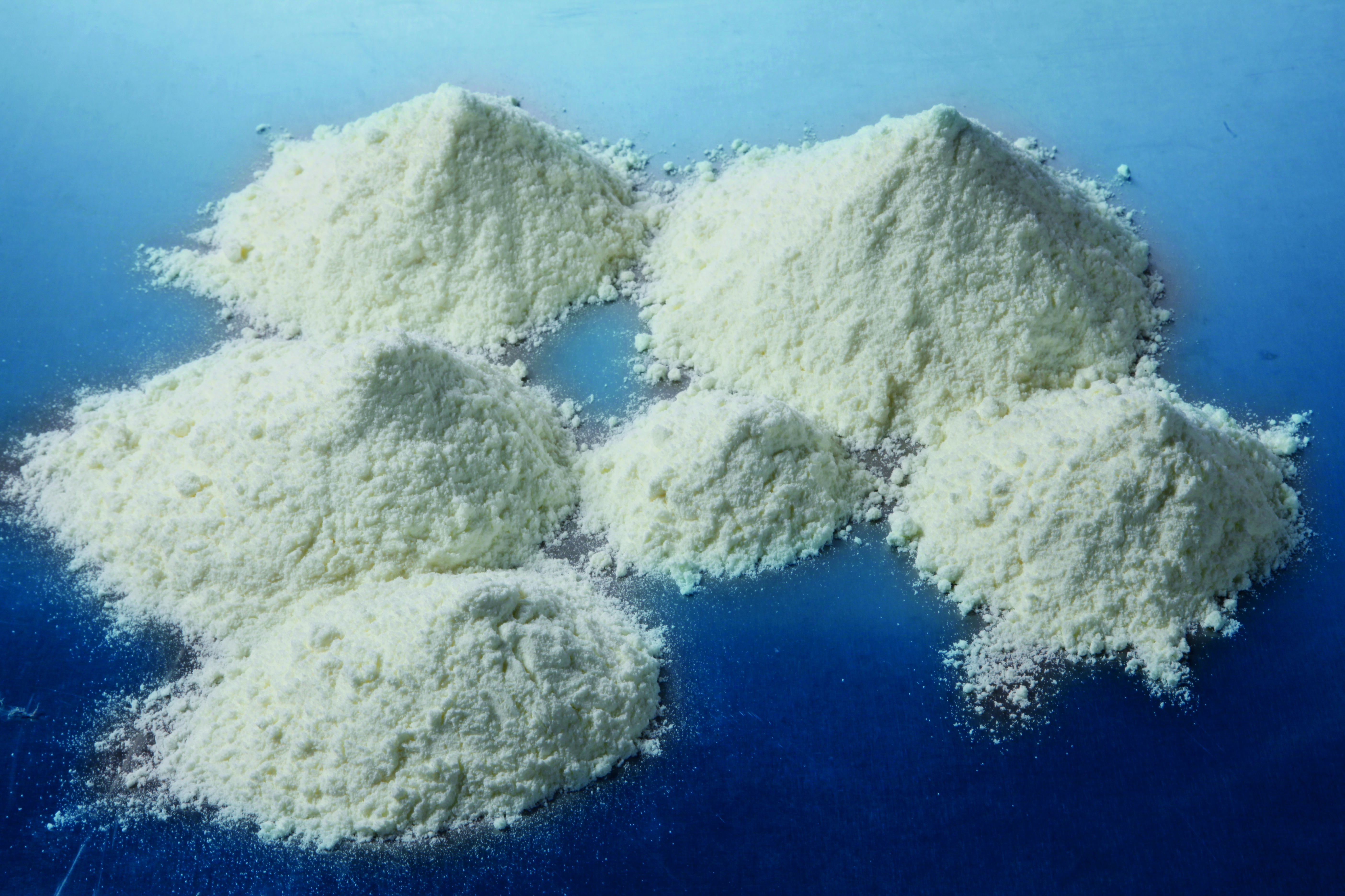 Skimmed Milk Powder Codex