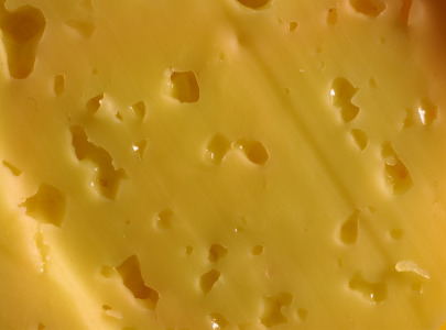 Cheese for Processing, 45% Fat