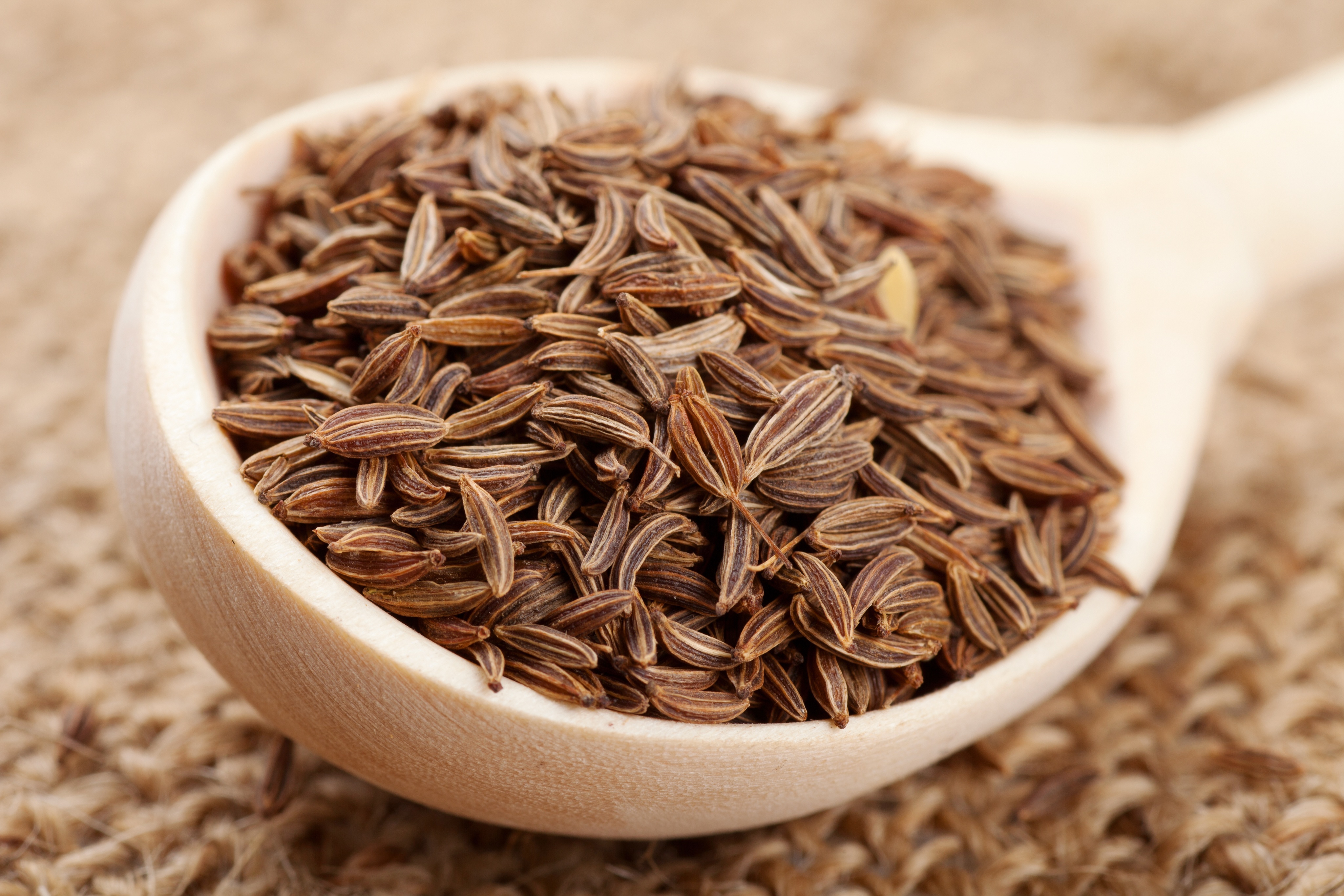 Cumin Oil, Clove Oil Supplier, Clove Oil Manufacturer, Clove Oil Exporter, SCFE Co2 Cumin Oil