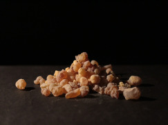 Gum Olibanum / Incense