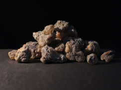 Gum Copal
