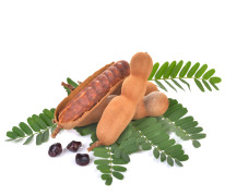 Tamarind extract 3-9% Tartaric Acid