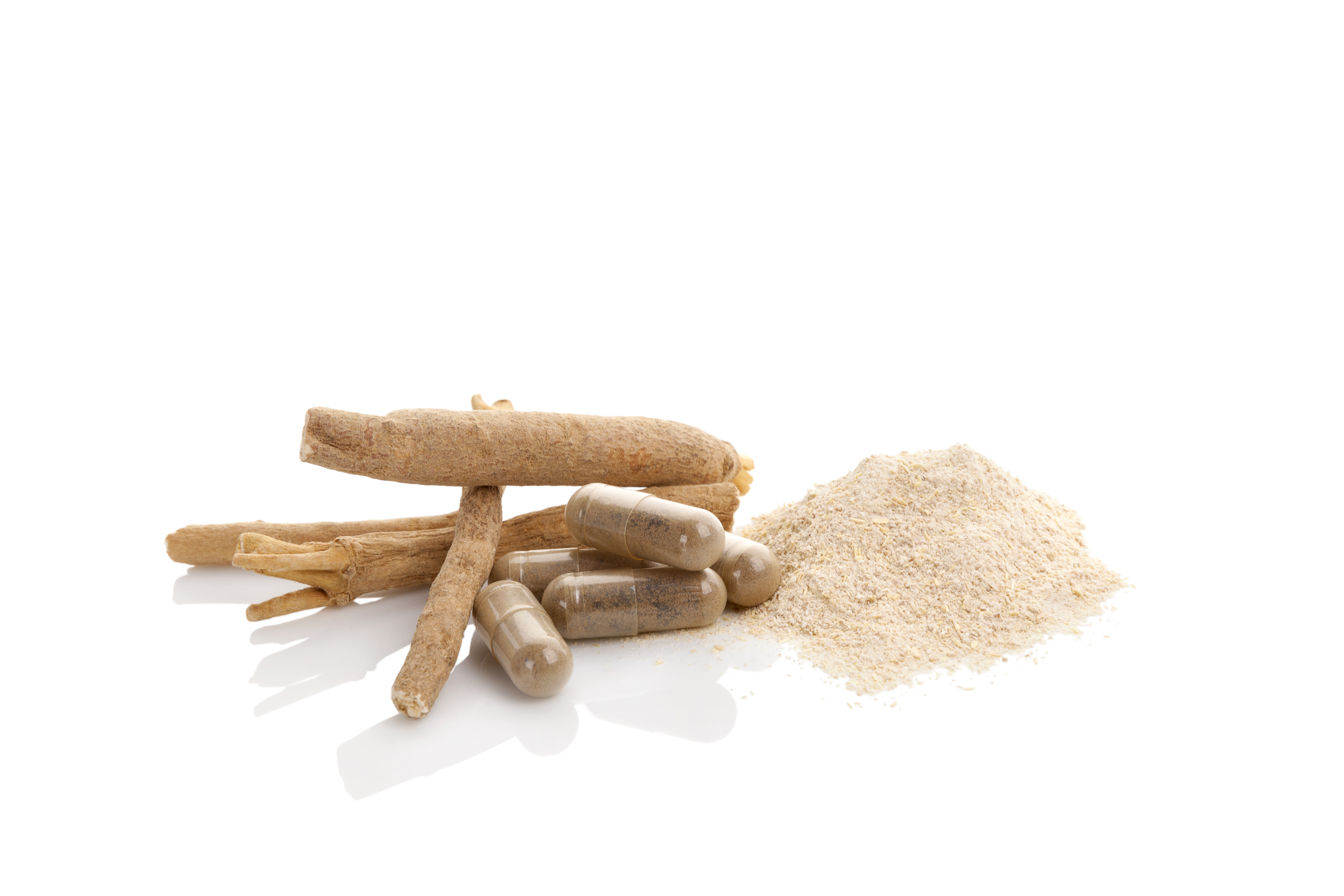 Ashwagandha Extract 2.5% - 8% Whitanolids