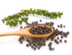 Black Pepper Extract 10-95% Piperine